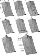 Third thumbnail for: Growth Patterns of Subaqueous Depositional Channel...