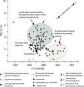 Third thumbnail for: Depositional Controls On Mudstone Lithofacies In A...