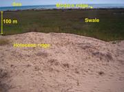 Third thumbnail for: Genesis and Evolution of A Beach-Ridge Plain Refle...