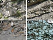 Second thumbnail for: Rheological Complexity In Sediment Gravity Flows F...