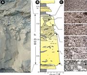 Third thumbnail for: Rheological Complexity In Sediment Gravity Flows F...