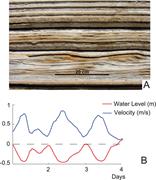 First thumbnail for: Modeling Tidal Bedding In Distributary-Mouth Bars