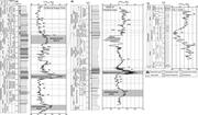 Second thumbnail for: Cenomanian To Campanian Carbon Isotope Chemostrati...