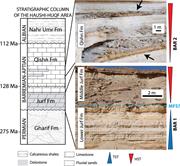 Second thumbnail for: Dolomitization of Lower Cretaceous Peritidal Carbo...