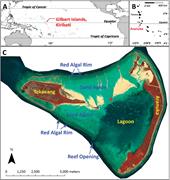 First thumbnail for: Physical Oceanographic Influences On Sedimentology...