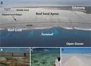 Third thumbnail for: Physical Oceanographic Influences On Sedimentology...