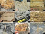 Third thumbnail for: Facies And Architectural Analysis To Interpret Avu...