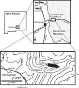 First thumbnail for: Isotopic and Elemental Evidence For Meteoric Alter...