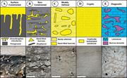Second thumbnail for: Petrophysical Characterization of Bioturbated Sand...