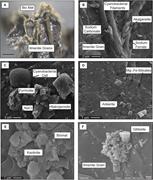 Third thumbnail for: The Co-Evolution of Fe-Oxides, Ti-Oxides, and Othe...
