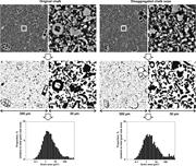 Second thumbnail for: Production of Calcareous Nannofossil Ooze For Sedi...