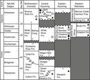 Second thumbnail for: Provenance and Depositional Ages of Late Paleogene...