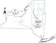 First thumbnail for: Sedimentary Facies and Depositional Environment of...