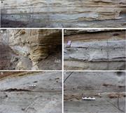 Third thumbnail for: Recognition of Tidal-Bore Deposits In the Rock Rec...