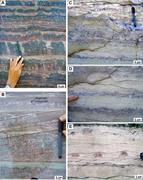 Second thumbnail for: Aragonite Crystal Fans In Neoproterozoic Cap Carbo...