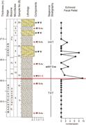 Third thumbnail for: Planktonic Foraminiferal Biostratigraphy, Microfac...