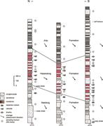 Second thumbnail for: Provenance Analysis of Lower Cretaceous Sindong Gr...