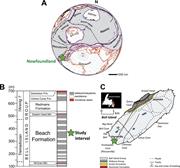 First thumbnail for: Mud-Rich Density-Driven Flows Along an Early Ordov...