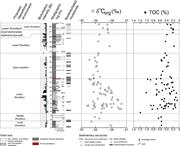 Third thumbnail for: Mud-Rich Density-Driven Flows Along an Early Ordov...