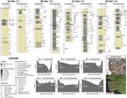 Second thumbnail for: A Synthesis of Depositional Trends In Intertidal a...