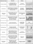 Third thumbnail for: Eocene Paleoseismic Record of the Green River Form...