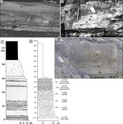 Second thumbnail for: Flow Behavior of Ponded Turbidity Currents