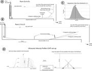 Third thumbnail for: Flow Behavior of Ponded Turbidity Currents