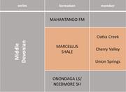 Third thumbnail for: Lithofacies of the Devonian Marcellus Shale In the...