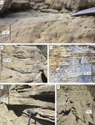 Third thumbnail for: Along-Strike Variations In Stratigraphic Architect...