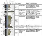 Second thumbnail for: Mixed Carbonate–Siliciclastic Sedimentation Along ...