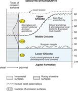 Third thumbnail for: Polygenetic (Polyphase) Karsted Hardground Omissio...