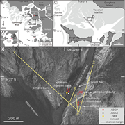 First thumbnail for: Morphodynamic and Hydrodynamic Controls On the Str...