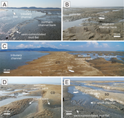 Third thumbnail for: Morphodynamic and Hydrodynamic Controls On the Str...