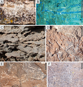 Third thumbnail for: Co-Evolution of Volcanic and Lacustrine Systems In...
