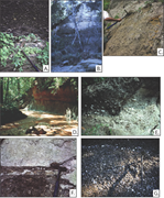 Second thumbnail for: Whence the Gosport Sand (Upper Middle Eocene, Alab...