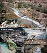 Second thumbnail for: Travertines Associated With Hyperalkaline Springs:...