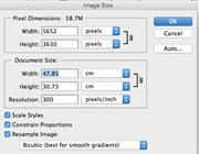 First thumbnail for: Guide For Figure Preparation