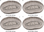 Second thumbnail for: Guide For Figure Preparation