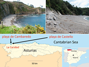 First thumbnail for: A Tide-Dominated Beach from the Cambro-Ordovician ...