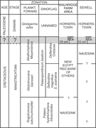 Second thumbnail for: Chemical Composition of Thalassinoides Boxwork Acr...