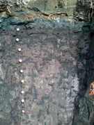 Third thumbnail for: Chemical Composition of Thalassinoides Boxwork Acr...