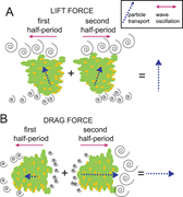 Second thumbnail for: Microbial Origin of Early Animal Trace Fossils?