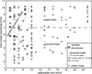 Third thumbnail for: Microbial Origin of Early Animal Trace Fossils?