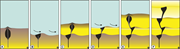 First thumbnail for: Event Sedimentation, Deposition Rate, and Paleoenv...