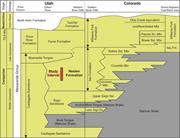 Third thumbnail for: Assessment of Backwater Controls On the Architectu...