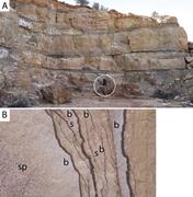 Third thumbnail for: The Geologic Context of Wonderstone: A Complex, Ou...