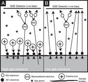 First thumbnail for: Charge Contrast Imaging (CCI): Revealing Enhanced ...