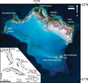 Second thumbnail for: Gene Sequencing-Based Analysis of Microbial-Mat Mo...