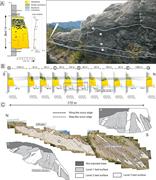 Third thumbnail for: Hybrid Event Beds Generated By Local Substrate Del...