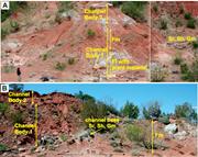 Second thumbnail for: An Abandoned-Channel Fill With Exquisitely Preserv...